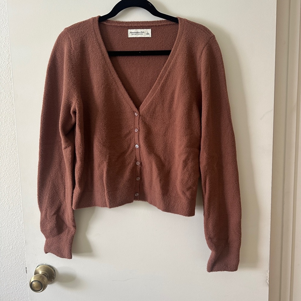 Abercrombie & Fitch Rust Cardigan Sweater